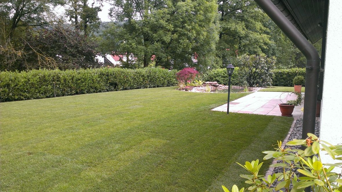 Risikobaumfällungen